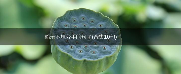 暗示不想分手的句子(合集10句),第1张