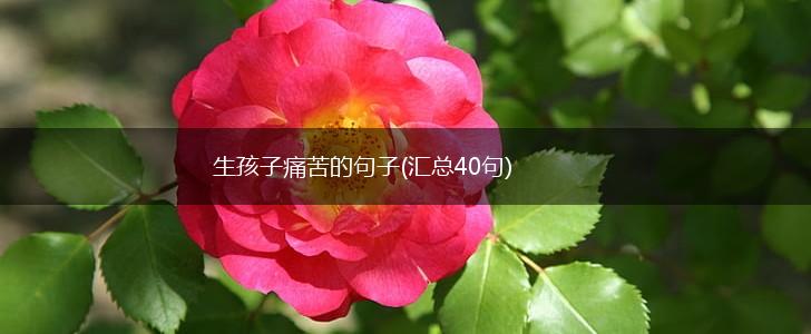 生孩子痛苦的句子(汇总40句),第1张