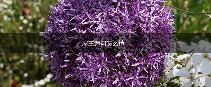屋主造句怎么造,第1张 屋主造句怎么造,第1张