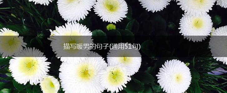 描写暖男的句子(通用51句),第1张