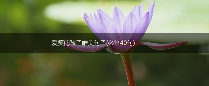 爱笑的孩子唯美句子(必备40句),第1张