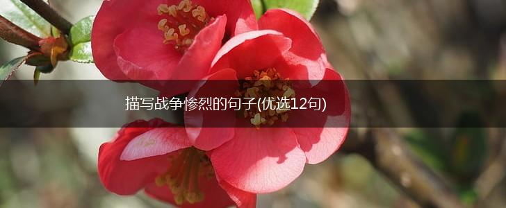 描写战争惨烈的句子(优选12句),第1张