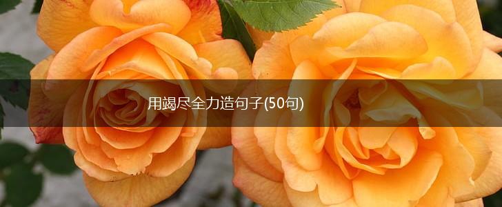 用竭尽全力造句子(50句),第1张