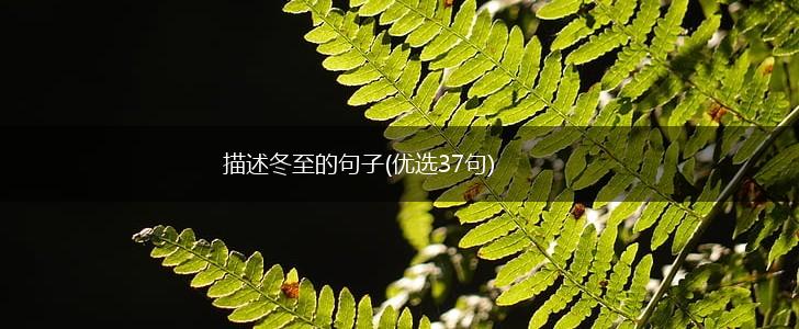 描述冬至的句子(优选37句),第1张