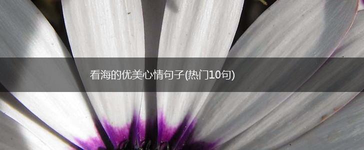 看海的优美心情句子(热门10句),第1张