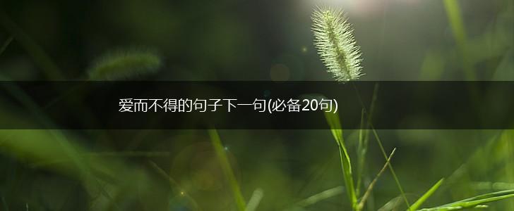 爱而不得的句子下一句(必备20句),第1张