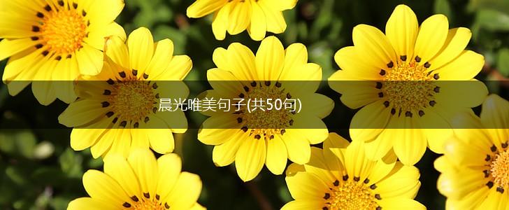 晨光唯美句子(共50句),第1张