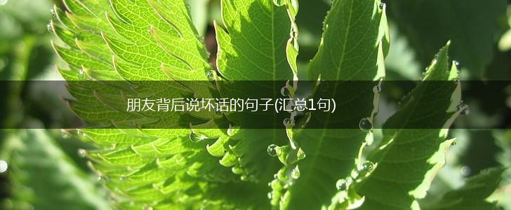 朋友背后说坏话的句子(汇总1句),第1张