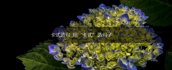 卡式造句_用“卡式”造句子,第1张