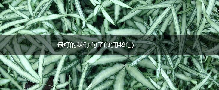 最好的我们 句子(实用49句),第1张