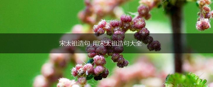 宋太祖造句_用宋太祖造句大全,第1张