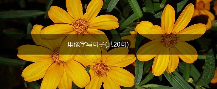 用像字写句子(共20句),第1张