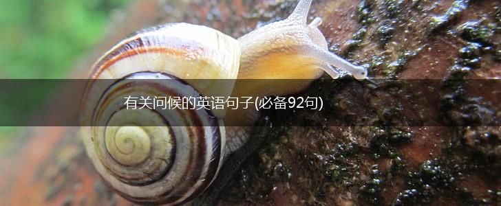 有关问候的英语句子(必备92句),第1张