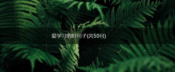 爱学习的好句子(共50句),第1张