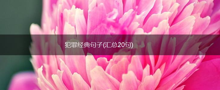 犯罪经典句子(汇总20句),第1张