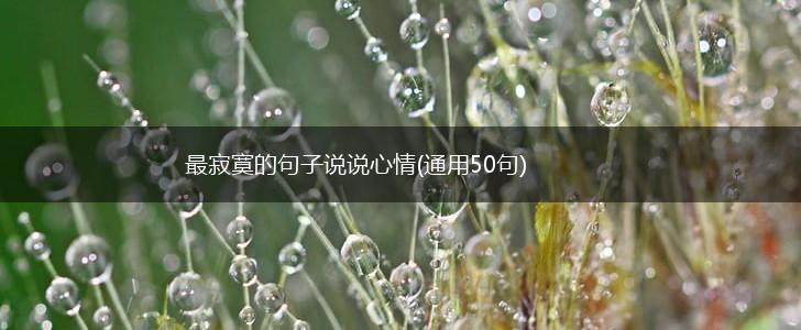 最寂寞的句子说说心情(通用50句),第1张