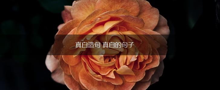 真白造句 真白的句子,第1张 真白造句 真白的句子,第1张