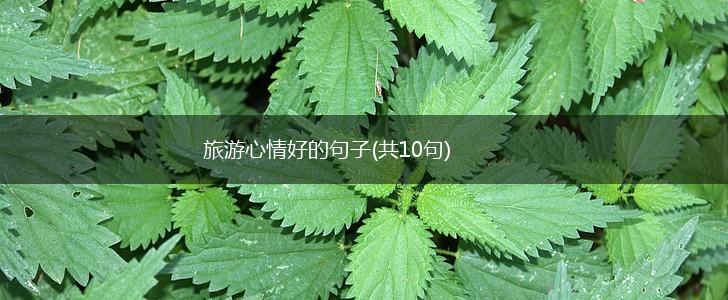 旅游心情好的句子(共10句),第1张