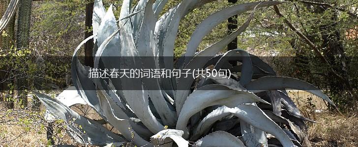 描述春天的词语和句子(共50句),第1张