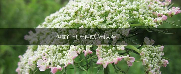 但使造句_用但使造句大全,第1张