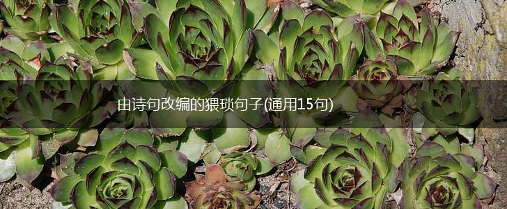 由诗句改编的猥琐句子(通用15句),第1张