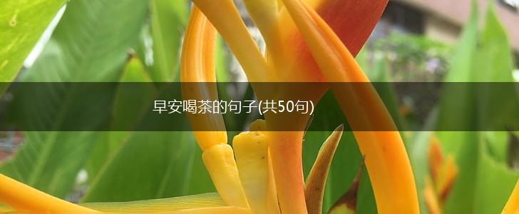 早安喝茶的句子(共50句),第1张