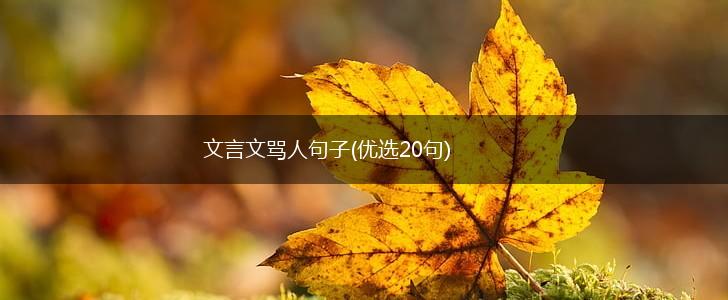 文言文骂人句子(优选20句),第1张