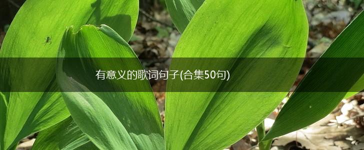 有意义的歌词句子(合集50句),第1张