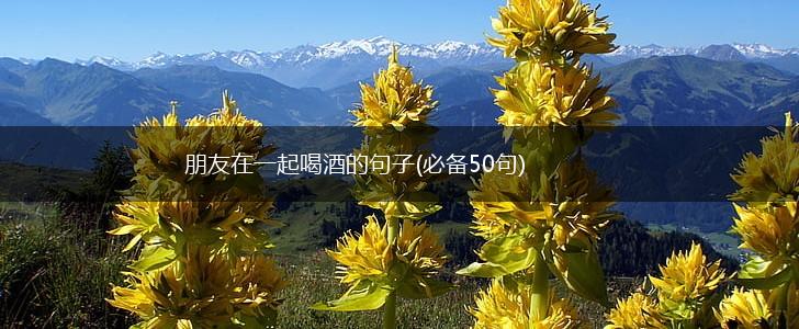 朋友在一起喝酒的句子(必备50句),第1张