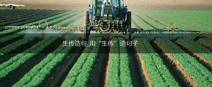 生传造句_用“生传”造句子,第1张