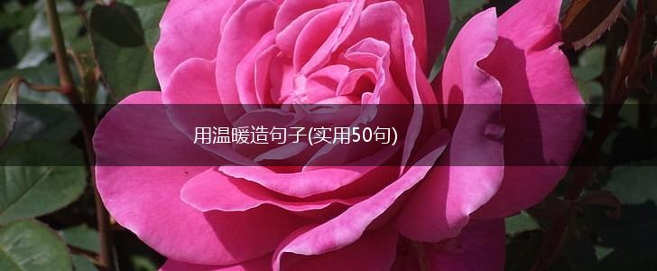 用温暖造句子(实用50句),第1张