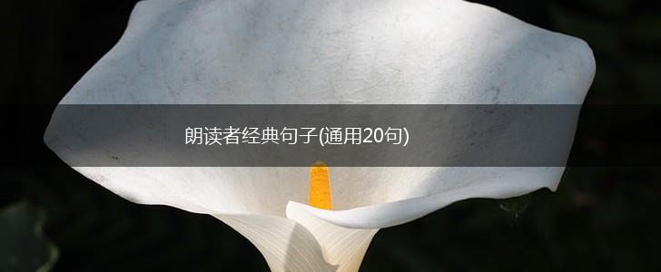 朗读者经典句子(通用20句),第1张