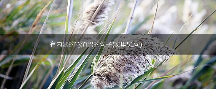 有内涵的骂渣男的句子(实用51句),第1张