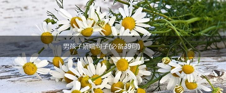 男孩子娇喘句子(必备39句),第1张