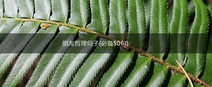 朋友哲理句子(必备50句),第1张