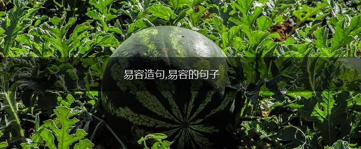 易容造句,易容的句子,第1张 易容造句,易容的句子,第1张