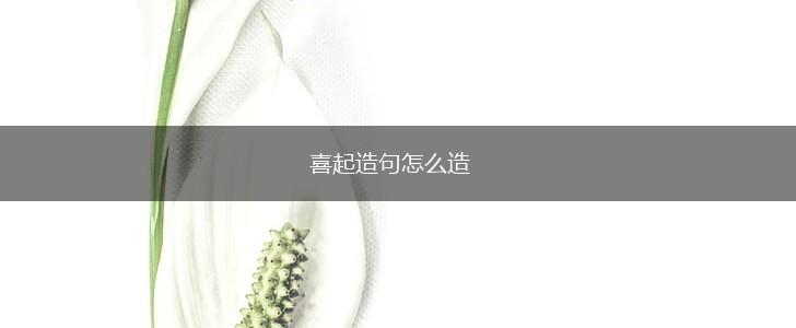 喜起造句怎么造,第1张