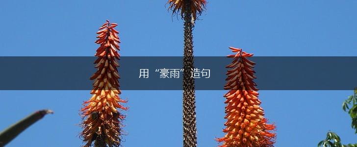 用“豪雨”造句,第1张