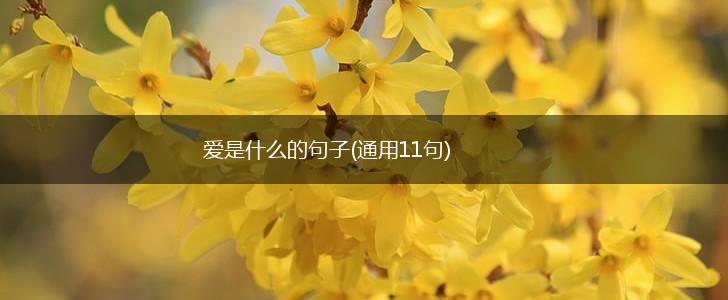 爱是什么的句子(通用11句),第1张
