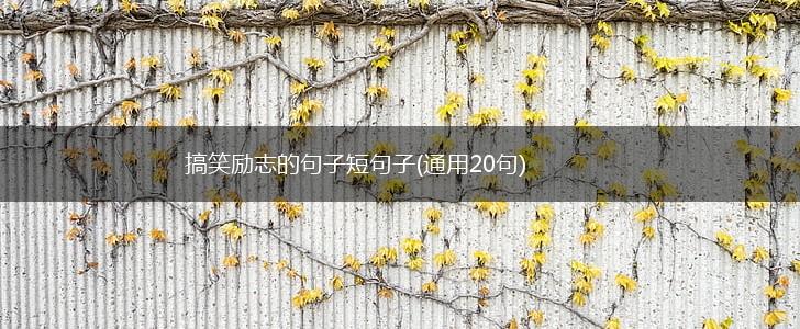 搞笑励志的句子短句子(通用20句),第1张