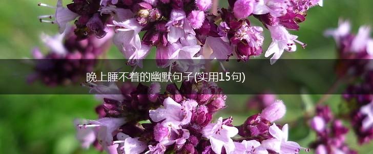 晚上睡不着的幽默句子(实用15句),第1张