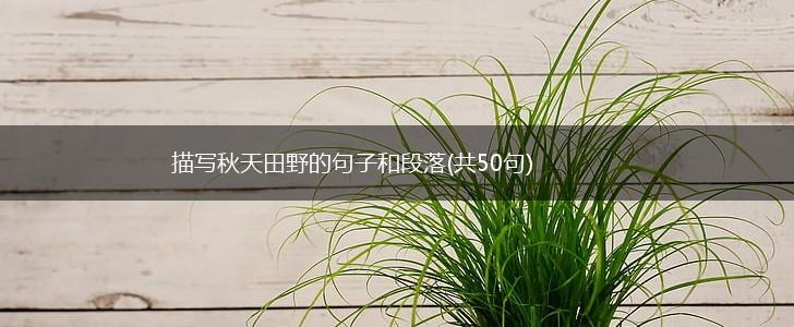 描写秋天田野的句子和段落(共50句),第1张
