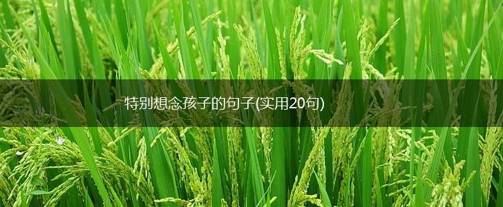 特别想念孩子的句子(实用20句),第1张