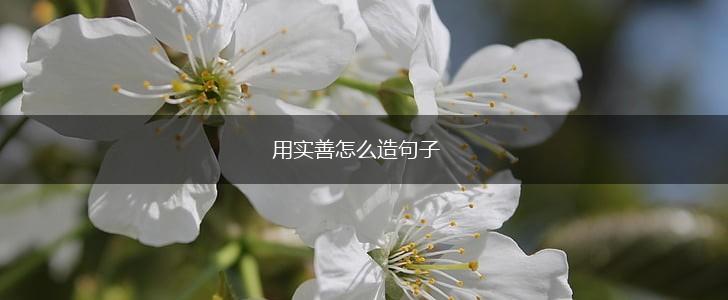 用实善怎么造句子,第1张 用实善怎么造句子,第1张