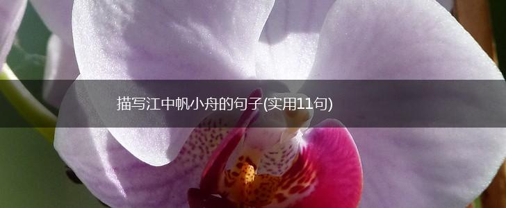 描写江中帆小舟的句子(实用11句),第1张
