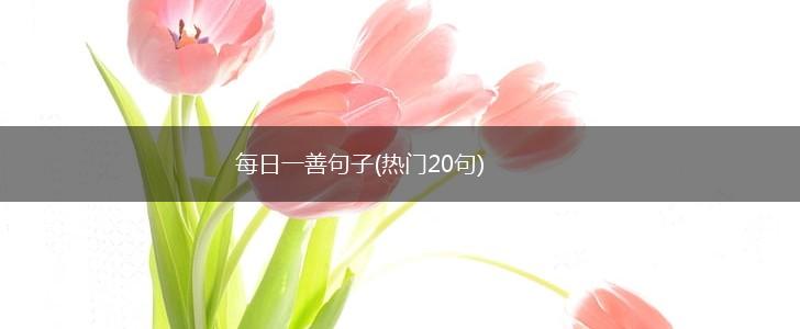 每日一善句子(热门20句),第1张
