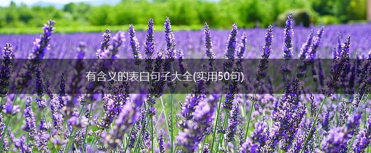 有含义的表白句子大全(实用50句),第1张