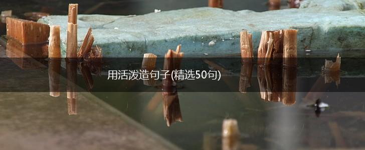 用活泼造句子(精选50句),第1张