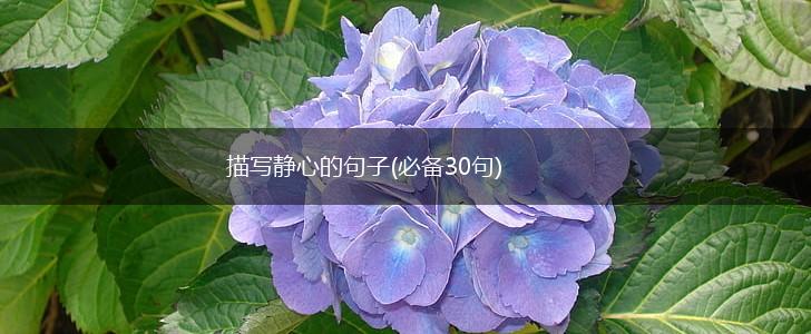 描写静心的句子(必备30句),第1张