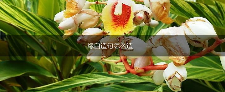 绿白造句怎么造,第1张 绿白造句怎么造,第1张